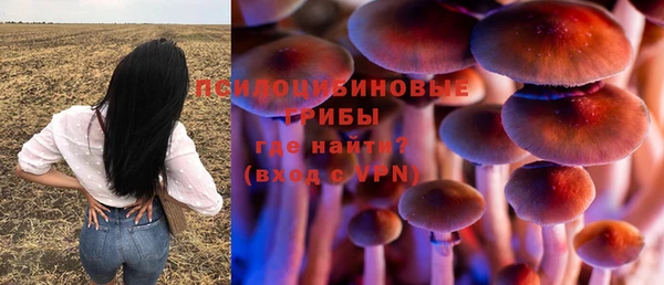 тгк Абинск