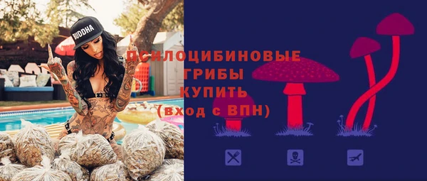 тгк Абинск